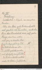 Seite 13, Tagebuch "Paläolithstation | Lang-Mannersdorf | Parzelle 1325" (NHMW-PRAE-BBB-16)